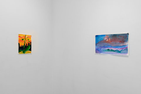 Installation image of two walls in the exhibition. On the left wall, a small painting of a green plant with a stem and leaves. There is an orange and yellow sky in the background with a black city scape. The flower sits on an orange circular patch of land in the foreground. On the right wall, there is a painting that suggests an erupting volcano. The volcano is surrounded by blue, purple, and green, lines, softly blended. 