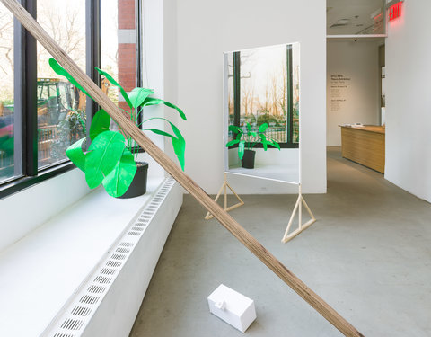 Installation view of the exhibition that features several photographs and sculptures. On the left, a photograph is mounted into a standing wood frame. The photograph consists of a window with a plant on the sill. The green leaves are very bright. On the back, right wall, an image of a window with a green plant on the sill and a mirror on the floor is hung on to the wall. 