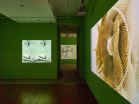 The image shows the right half of a room with green walls. On the far wall there is a doorway that shows a part of another gallery room. On the right wall of this room there is a rectangular projected image of honeycomb. On the far wall there is a smaller rectangular image of a man watching a helicopter and UFO. This image is projected twice side by side. On the wall of the gallery shown through the doorway there is a projected image of an angular geometric form.
