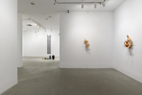 Gallery installation image of two walls leading into another gallery. On the two walls in the foreground, there are two sculptures mounted on the left and the right. On the left, is a tan sculpture made of gourds an natural materials, organized in a seemingly abstract way. The hay and grass-like materials poke out from around the gourd. On the right wall, from a profile view, is a similar tan wall sculpture mounted in the same materials. Leading into the back gallery is a hanging metal crocheted into mesh. It is black and below sits various ceramic pots arranged from smallest to largest, in various sizes.